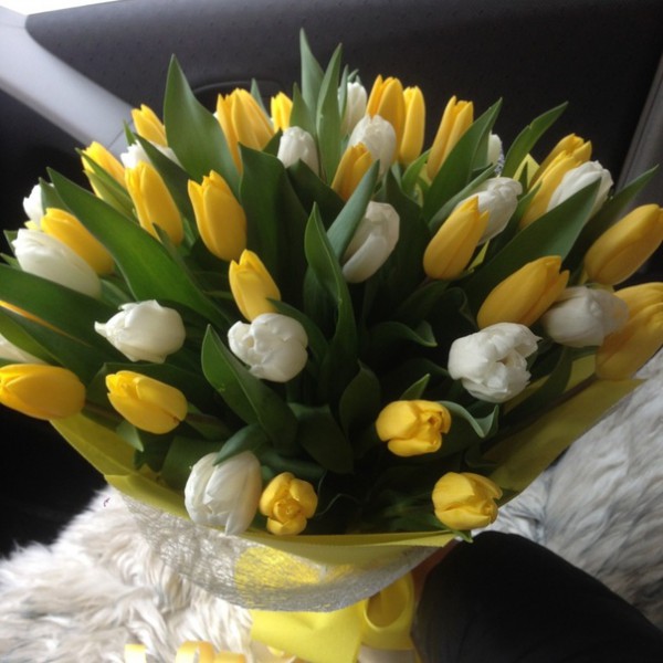 Желто-белые тюльпаны